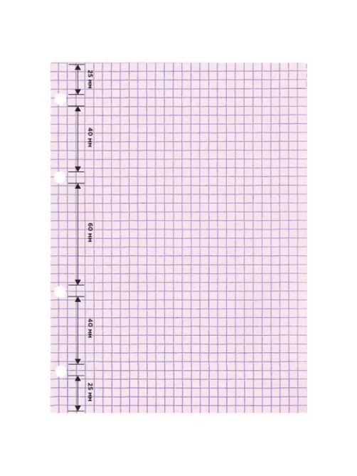 Сменный блок для тетради на кольцах, А5, 200 л., BRAUBERG, 4 цвета по 50 листов, 401661