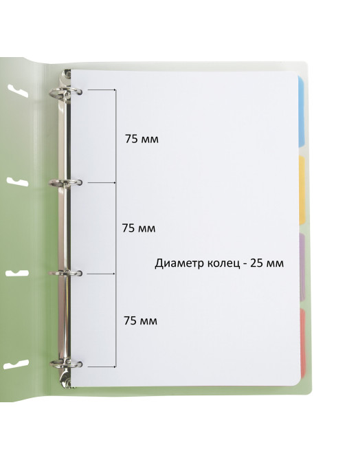 Тетрадь на кольцах БОЛЬШАЯ 305х235 мм А4, 120 л., пластик, с разделителями, BRAUBERG, Зеленый, 404625