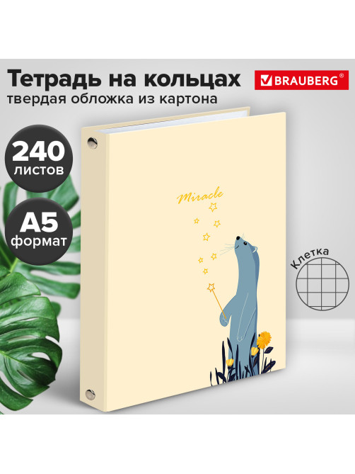 Тетрадь на кольцах А5 (175х215 мм), 240 листов, твердый картон, клетка, BRAUBERG, Miracle, 404093