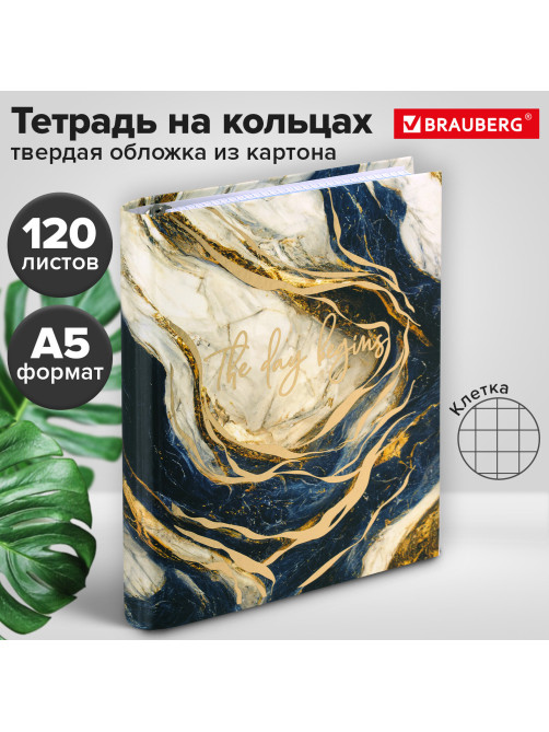 Тетрадь на кольцах А5 175х215 мм, 120 листов, твердый картон, фольга, клетка, BRAUBERG, 