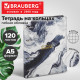 Тетрадь на кольцах А5, 175х215 мм, 120 л., под кожу, BRAUBERG VISTA, 