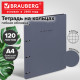 Тетрадь на кольцах БОЛЬШАЯ А4, 240х310 мм, 120 л., под кожу, BRAUBERG VISTA, 