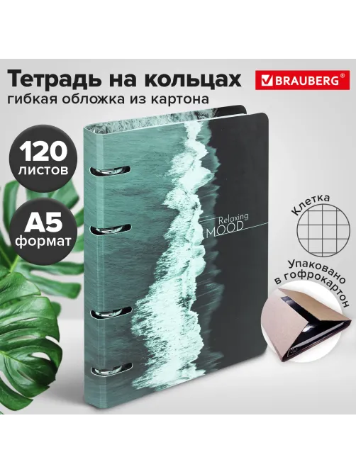 Тетрадь на кольцах А5 160х212 мм, 120 листов, картон, матовая ламинация, клетка, BRAUBERG, 