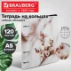 Тетрадь на кольцах А5, 175х215 мм, 120 л., под кожу, BRAUBERG VISTA, 