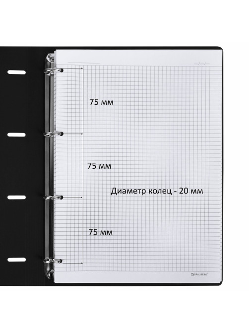Тетрадь на кольцах БОЛЬШАЯ А4 (240х310 мм), 120 л., под кожу, BRAUBERG VISTA, 
