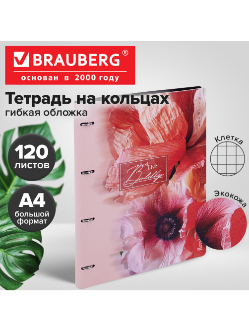 Тетрадь на кольцах БОЛЬШАЯ А4, 240х310 мм, 120 л., под кожу, BRAUBERG VISTA, 