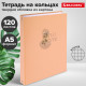 Тетрадь на кольцах А5 165х215 мм, 120 листов, твердый картон, клетка, BRAUBERG, 