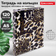 Тетрадь на кольцах А5 165х215 мм, 120 листов, твердый картон, клетка, BRAUBERG, 