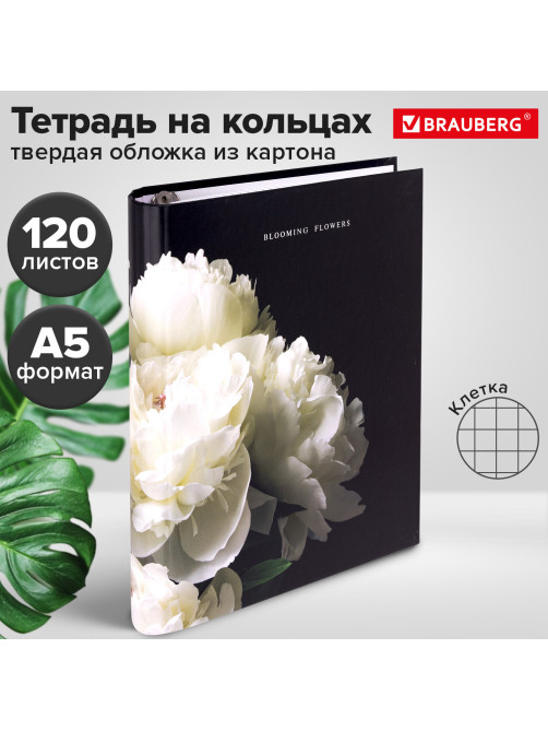 Тетрадь на кольцах А5 175х215 мм, 120 листов, твердый картон, фольга, клетка, BRAUBERG, 