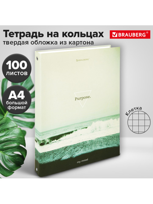 Тетрадь на кольцах БОЛЬШАЯ А4, 220х305 мм, 100 л., твердый картон, клетка, BRAUBERG, 