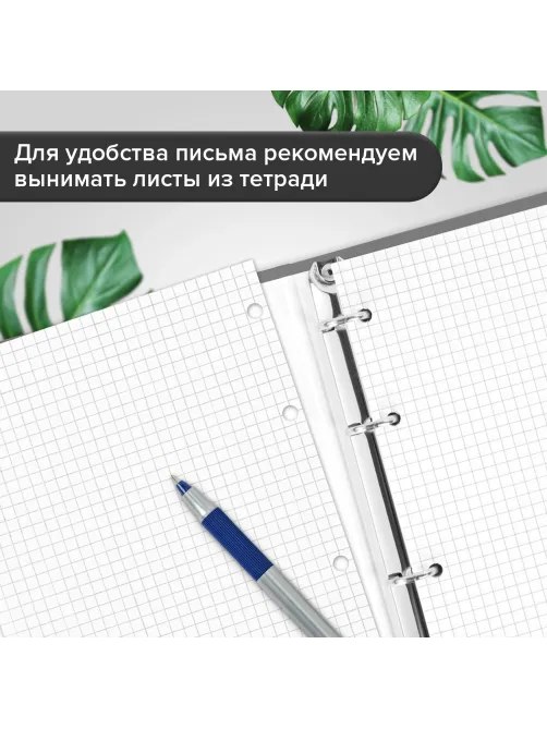 Тетрадь на кольцах А5 160х215 мм, 80 л., пластик, клетка, BRAUBERG, 