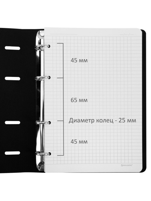 Тетрадь на кольцах А5, 175х215 мм, 120 л., под кожу, BRAUBERG VISTA, 