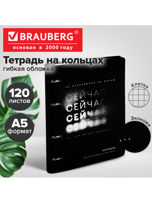 Тетрадь на кольцах А5, 175х215 мм, 120 л., под кожу, BRAUBERG VISTA, 