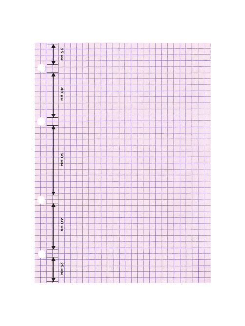 Сменный блок для тетради на кольцах, А5, 200 л., BRAUBERG, 4 цвета по 50 листов, 401661
