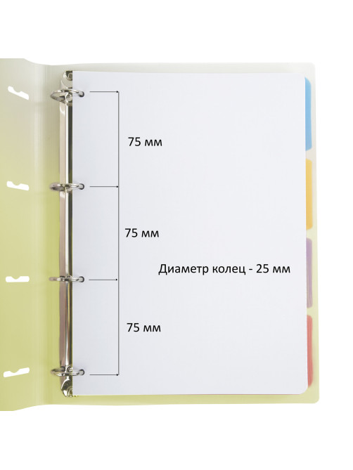 Тетрадь на кольцах БОЛЬШАЯ 305х235 мм А4, 120 л., пластик, с разделителями, BRAUBERG, Желтый, 404624