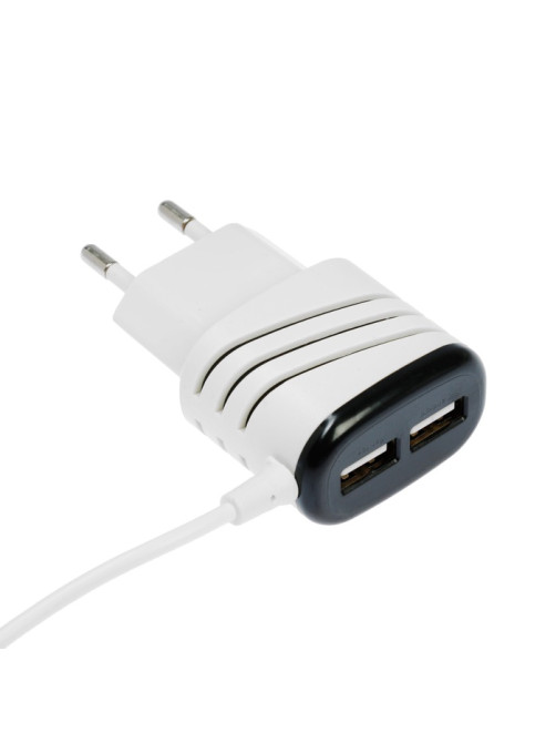 Сетевое зарядное устройство Luazon GQ-18, 2 USB, microUSB, 1 A, 1 м, белое