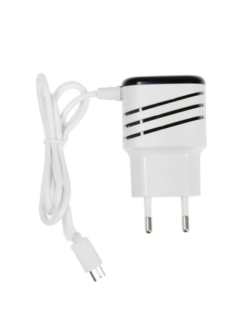 Сетевое зарядное устройство Luazon GQ-18, 2 USB, microUSB, 1 A, 1 м, белое