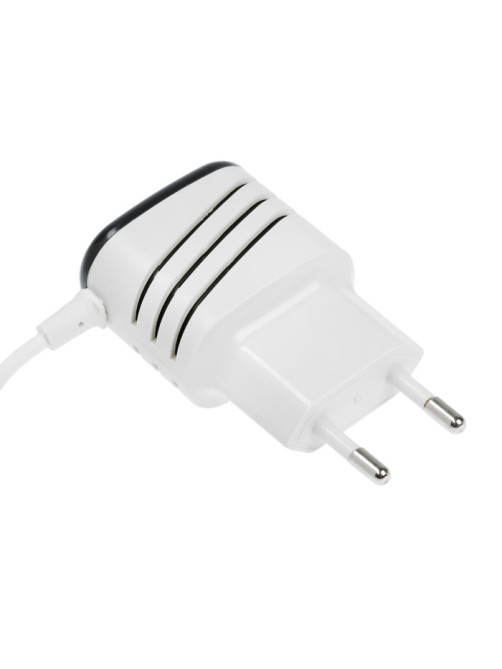 Сетевое зарядное устройство Luazon GQ-18, 2 USB, microUSB, 1 A, 1 м, белое