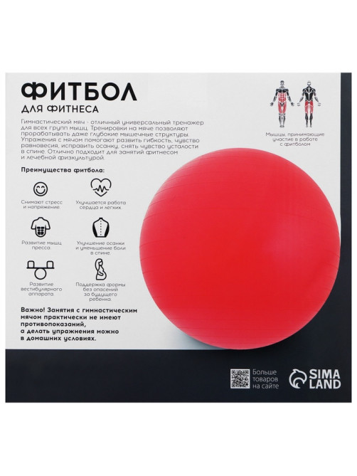 Фитбол ONLYTOP, d=65 см, 900 г, антивзрыв, МИКС