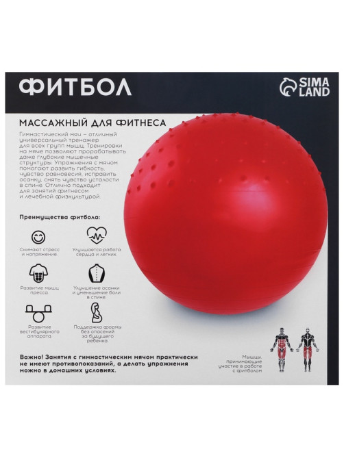 Фитбол ONLYTOP d=65 см, 1000 г, полумассажный, МИКС