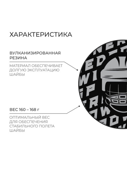 Шайба хоккейная Winter Star, взрослая, d=7.6 см