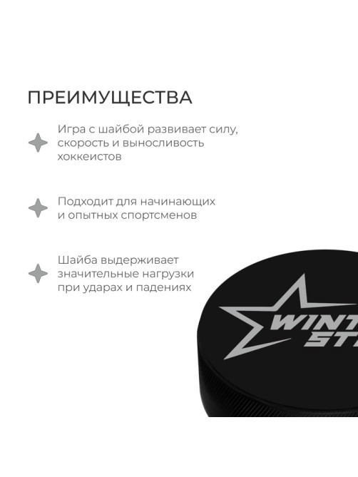Шайба хоккейная Winter Star, детская, d=6 см
