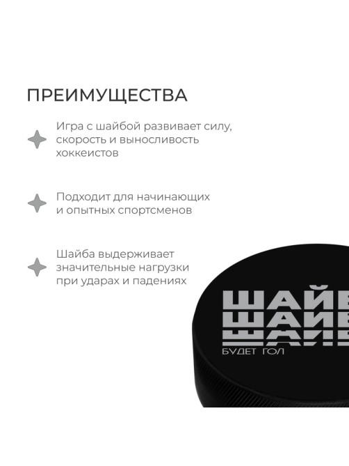 Шайба хоккейная Winter Star, взрослая, d=7.6 см