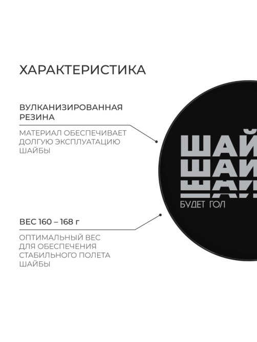 Шайба хоккейная Winter Star, взрослая, d=7.6 см