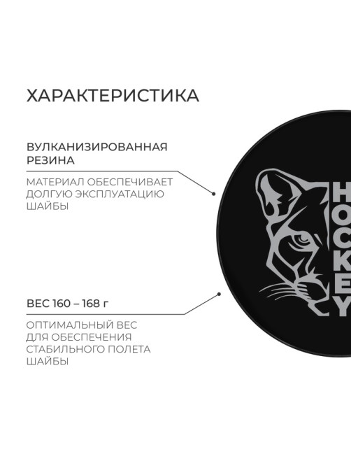 Шайба хоккейная Winter Star, взрослая, d=7.6 см