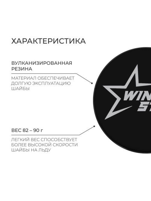 Шайба хоккейная Winter Star, детская, d=6 см