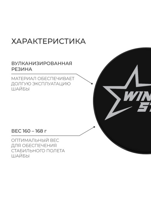 Шайба хоккейная Winter Star, взрослая, d=7.6 см