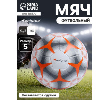 Футбольный мяч ONLYTOP, машинная сшивка, 32 панели, р. 5, PVC