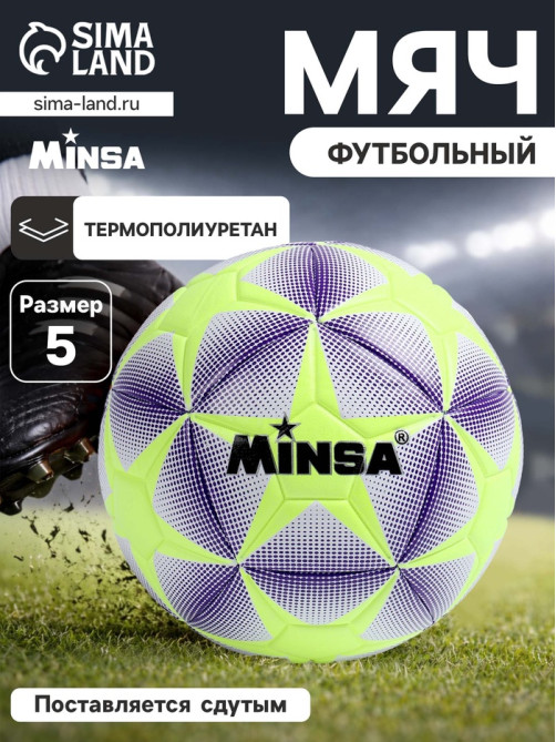 Футбольный мяч MINSA, машинная сшивка, 12 панелей, р. 5, TPE