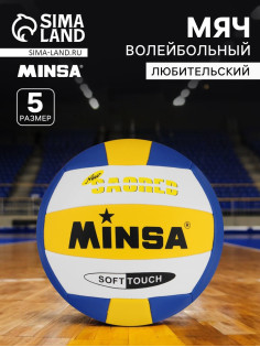 Волейбольный мяч MINSA, машинная сшивка, 18 панелей, р. 5, TPU