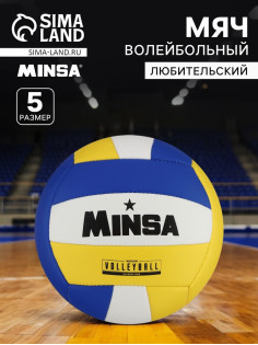 Волейбольный мяч MINSA, машинная сшивка, 18 панелей, р. 5, PVC