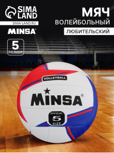 Волейбольный мяч MINSA, машинная сшивка, 18 панелей, р. 5, TPU