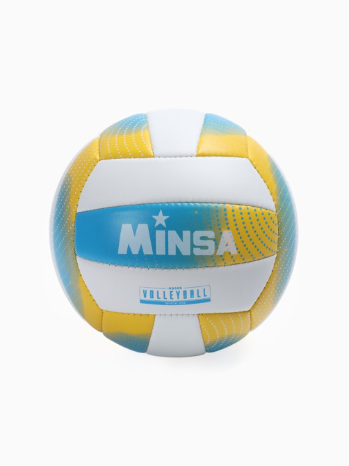 Волейбольный мяч MINSA, машинная сшивка, 18 панелей, р. 5, PVC
