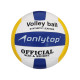 Волейбольный мяч ONLYTOP, машинная сшивка, 18 панелей, р. 5, PVC