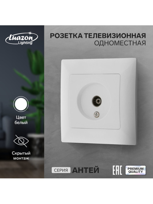 Розетка ТВ Luazon Lighting «Антей», скрытая, IP20, одноместная, белая