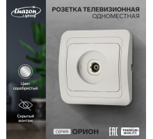 Розетка ТВ Luazon Lighting «Орион», скрытая, IP20, одноместная, серебристая