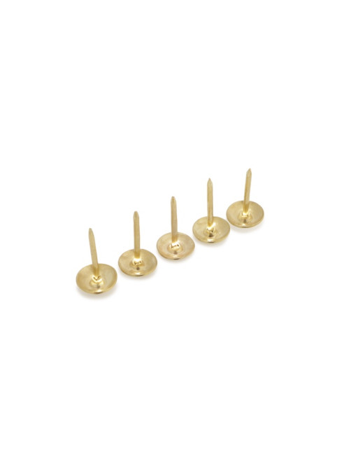 Гвозди ТУНДРА, декоративные, обивочные, 8×15 мм, золото, фасовка 50 шт.