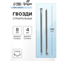 Гвозди ТУНДРА, строительные, ГОСТ 4028-63, без покрытия, 4×120 мм, фасовка 0.2 кг