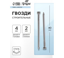 Гвозди ТУНДРА, строительные, ГОСТ 4028-63, без покрытия, 2×40 мм, фасовка 1 кг