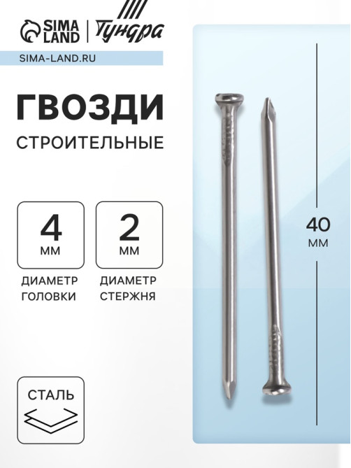 Гвозди ТУНДРА, строительные, ГОСТ 4028-63, без покрытия, 2×40 мм, фасовка 1 кг