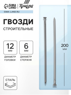 Гвозди ТУНДРА, строительные, ГОСТ 4028-63, без покрытия, 6×200 мм, фасовка 0.2 кг