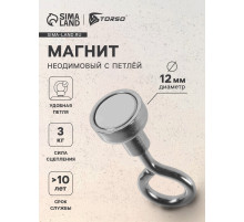 Магнит неодимовый TORSO с петлёй для авто, d=12 мм, сцепление 3 кг