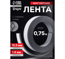 Магнитная лента ТУНДРА, с клеевым слоем, 12.5×1.5 мм, длина 0.75 м