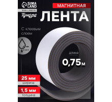 Магнитная лента ТУНДРА, с клеевым слоем, 25×1.5 мм, длина 0.75 м