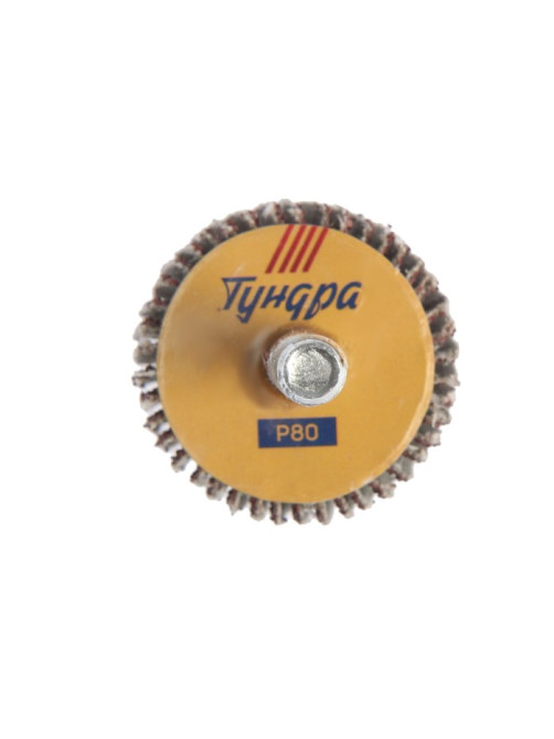 Круг лепестковый радиальный ТУНДРА, 30×20×6 мм, Р80
