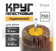 Круг лепестковый радиальный ТУНДРА, 60×20×6 мм, Р60